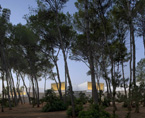 Palacio de Congresos de Ibiza | Premis FAD 2009 | Architecture
